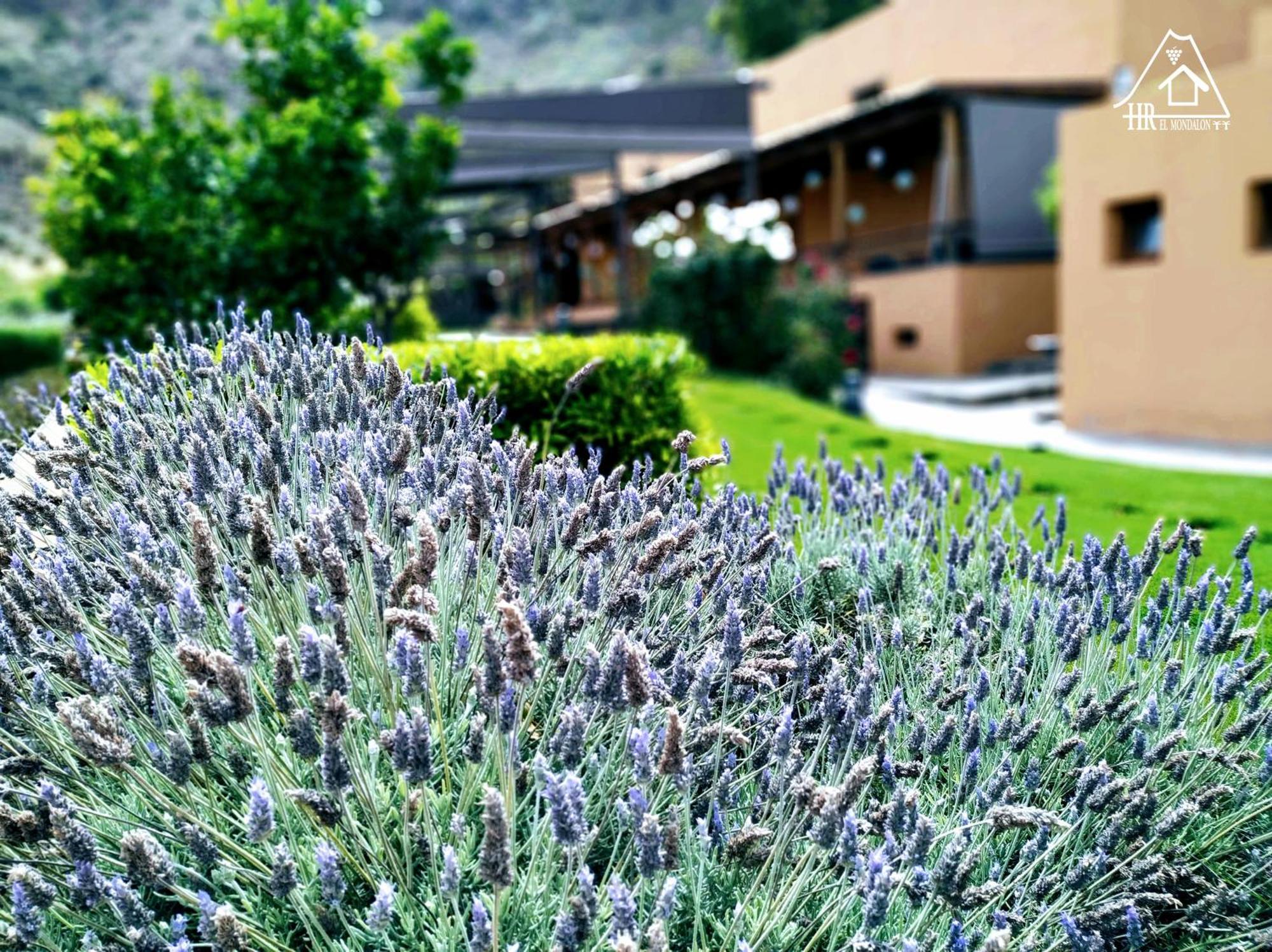 לאס פאלמס דה גראן קנאריה Hotel Rural El Mondalon מראה חיצוני תמונה