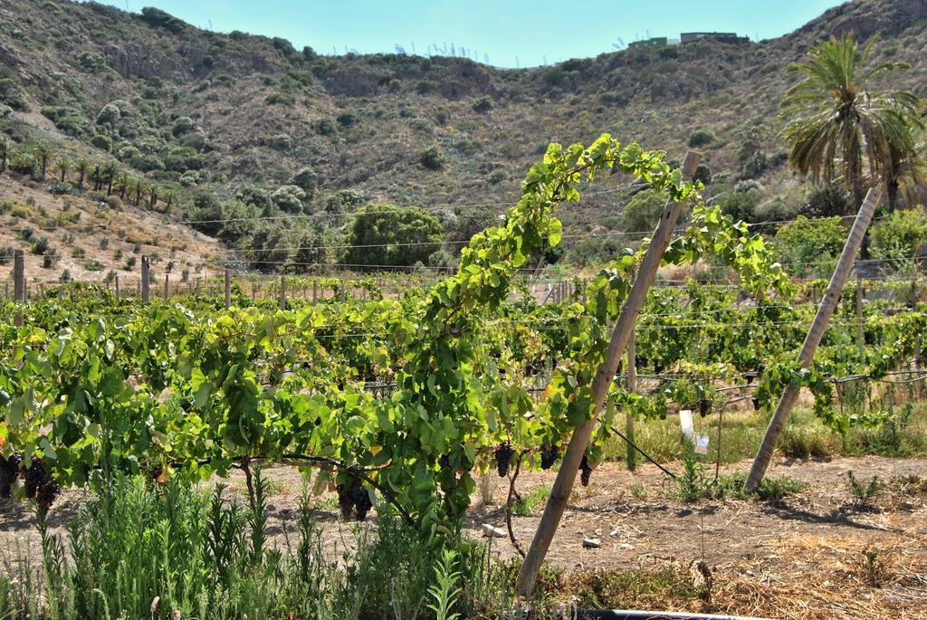 לאס פאלמס דה גראן קנאריה Hotel Rural El Mondalon מראה חיצוני תמונה